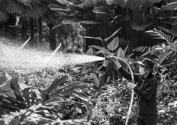 Gray Scale Principle: Embracing Ambiguity in Management