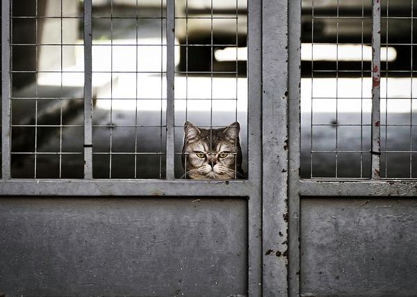How Intentional Boredom Unlocks Original, Breakthrough Thinking