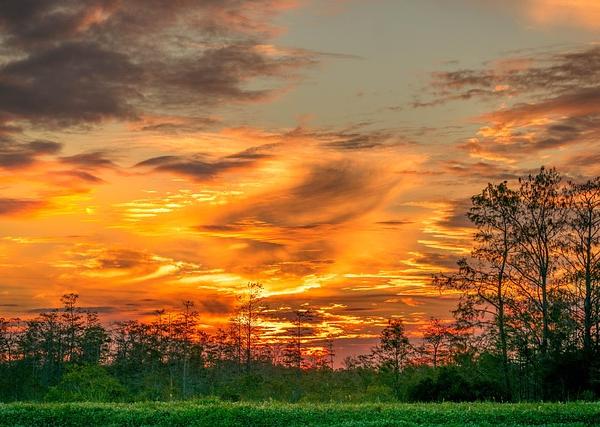 Reclaiming Wetland Identity: Mac Stone's Visual Advocacy for Florida's Endangered Everglades