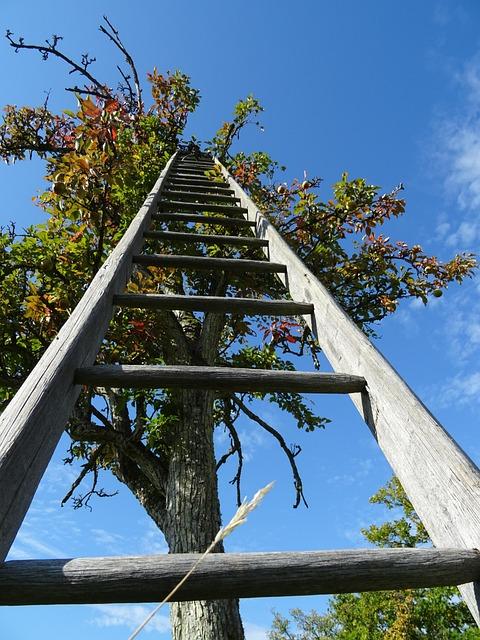 A Five-Skill Foundational Model to Replace the Outdated Linear Career Ladder