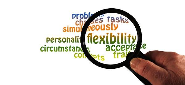 Beyond Fixed Traits: How Personal Adaptability Redefines Our Understanding of Personality