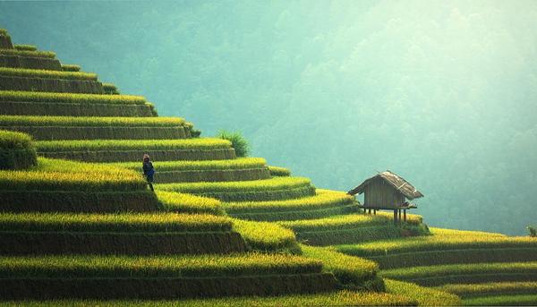 How Right Goal‑Setting Reshapes Sustainable Growth for Pet Industry Businesses