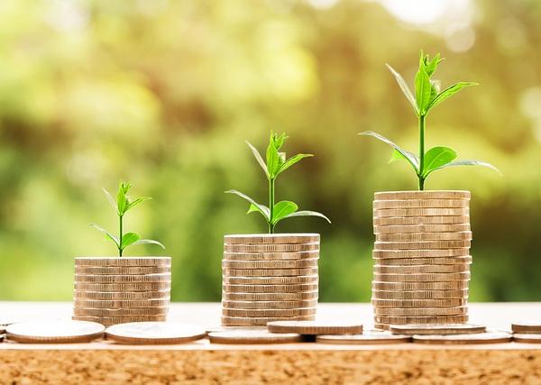 Fiscal Sustainability and Multi‑Mechanism Innovation‑Driven Long‑Term Economic Growth