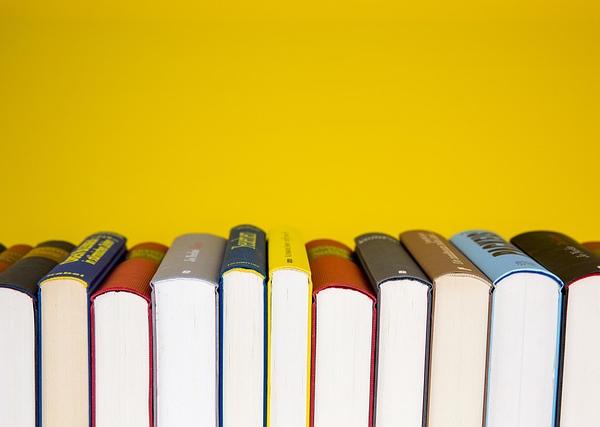 Reading Notes: The Book of Wisdom (Scholarly Commentary)