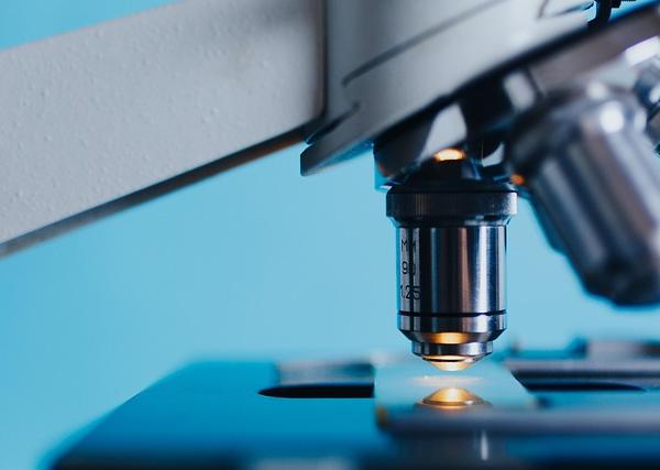 Gilbreth Couple’s Motion Study: The Scientific Foundation of Work Efficiency