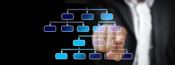Management Information Theory: Information as the Lifeblood of Effective Organizations