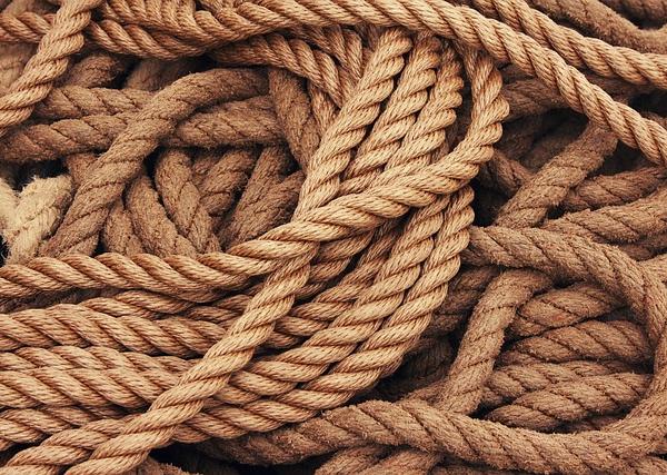 Cross-Ideology Advocacy Model for Durable Systemic Reform