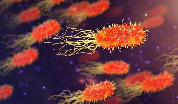 Rewriting the Rules of Germ Cells: The Science and Implications of In Vitro