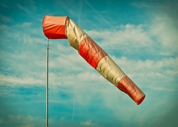 Authenticity as a Predictive Indicator: Why Forcing Cultural Fit Sabotages Your Hiring Validity