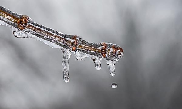 Visualizing the Silence: Directing the Melody of Melting Ice