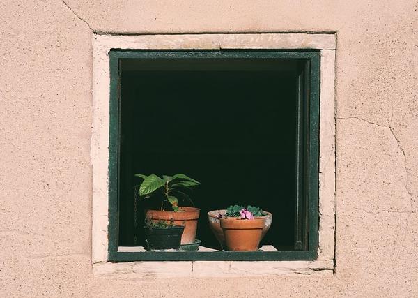 Intern Training Cycles and Staff Conversion: Case-Driven Insights