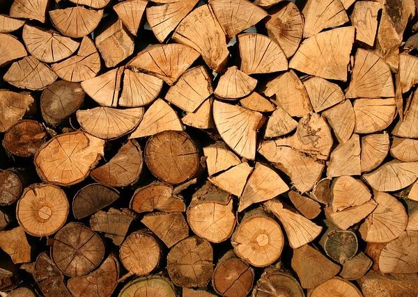 Supply Chain Deforestation and Next-Generation Material Substitution