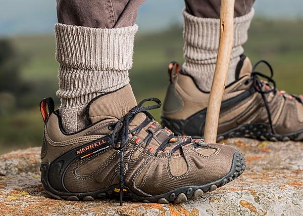 Four-Pillar Multi-Dimensional Theory of Evidence-Based Walking Wellness