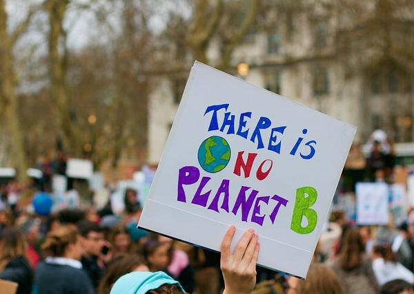 Decolonial Intersectional Theory of Authentic Climate Activist Voice