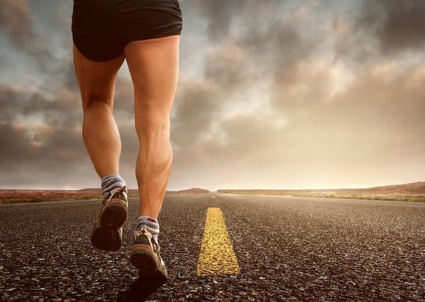  Empirical Analysis of Humanity’s Evolutionary Endurance Running Design