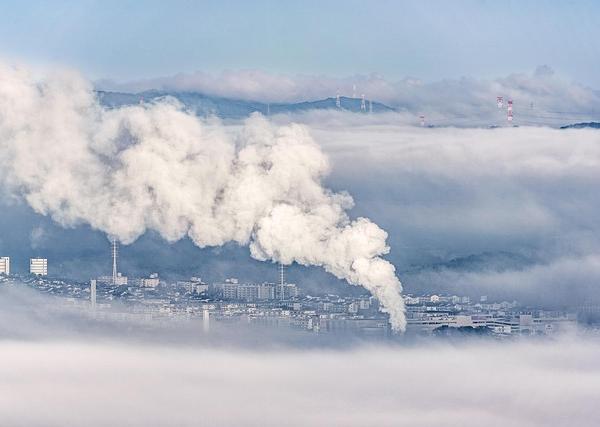 From Field Plots to Algorithms: What a Carbon Cycle Scientist Sees in the AI Climate Toolkit