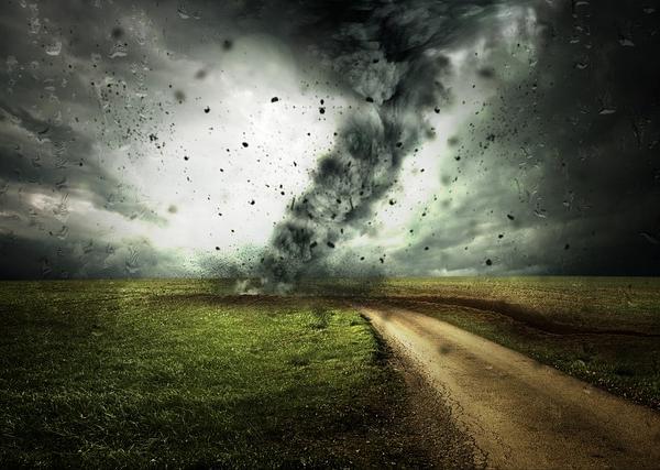 The Power of Conversation: How Talking About Climate Change Drives Collective Action
