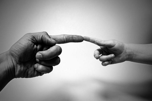 The Neural Signatures of False Empathy and the Cognitive Architecture of Genuine Support