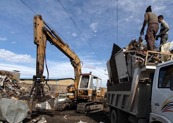 Waste Management, Metabolic Clearance, and the Unseen Scavengers in Your Gut