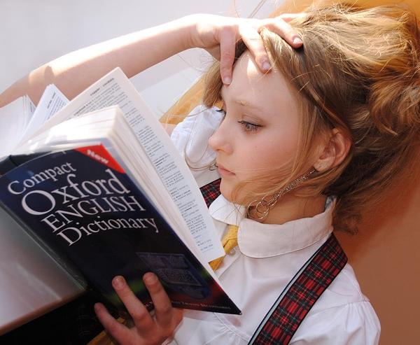 Book Analysis: A Dictionary of the Hindustani Language with English Explanations