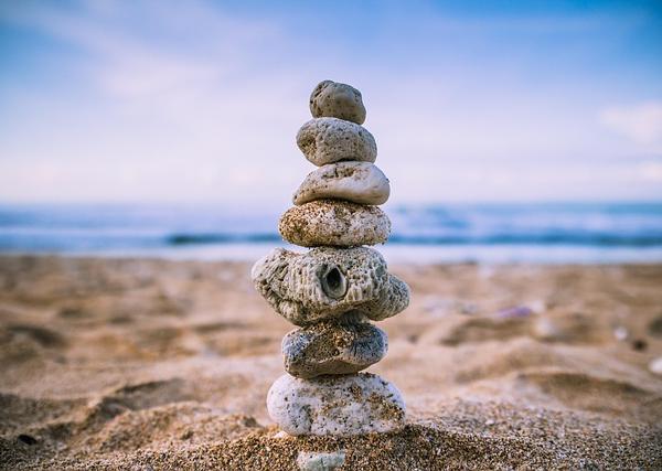 Harmony Management Theory: Balancing Order and Flexibility for Sustainable Organizational Success