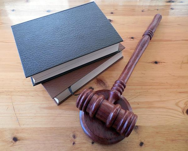 The Legal Economics of Foreign Trade Regulation: Cost, Efficiency, and Governance