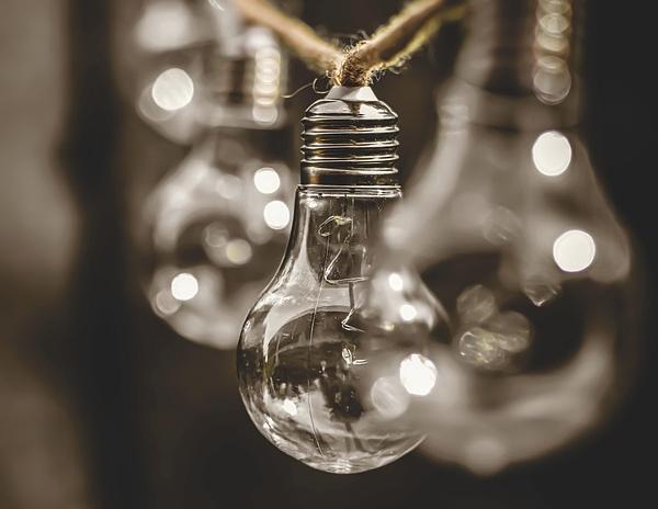 Youth‑Led Sustainable Entrepreneurship: Innovative Pathways for Social and Environmental Value Creation