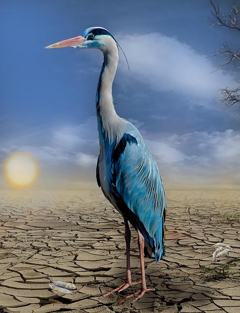 Integrated Foundational Climate Resilience Theory