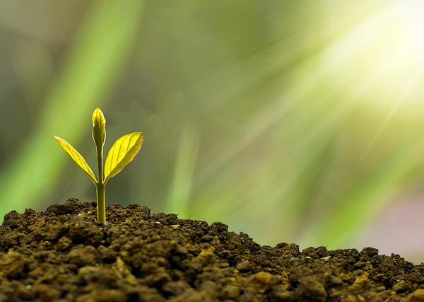 Color Bravery: How Open Racial Dialogue Drives Sustainable Small Business Growth