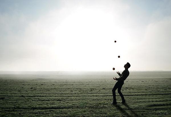 Coordination and Harmony Principle: Aligning Organizational Elements for Peak Performance