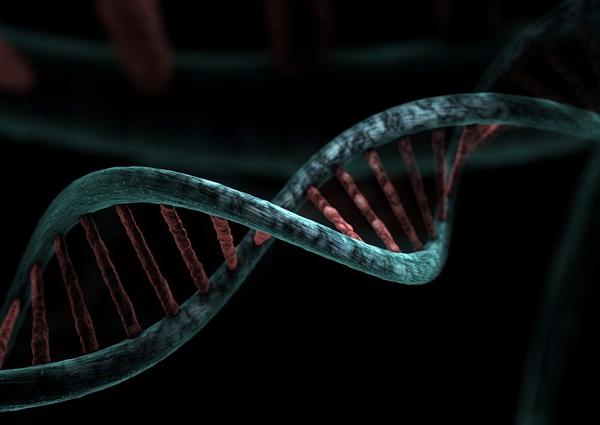 Genome Recoding Theory: Jason W. Chin’s Synthetic DNA Framework for Virus-Resistant Engineered Microbes