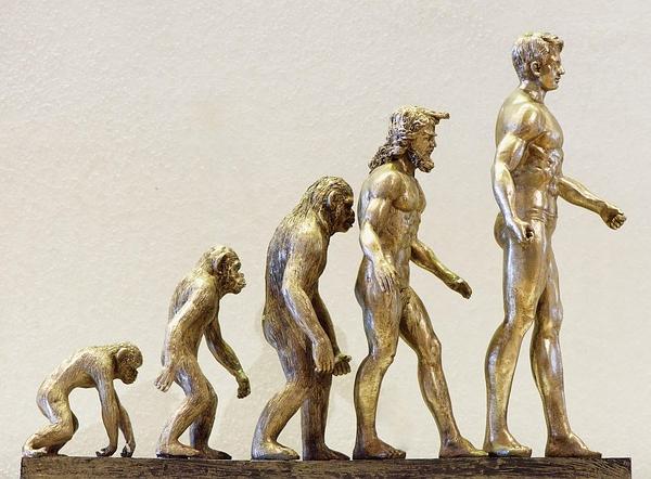 Motivation Theory: The Comprehensive Framework for Understanding Human Behavior in Organizations
